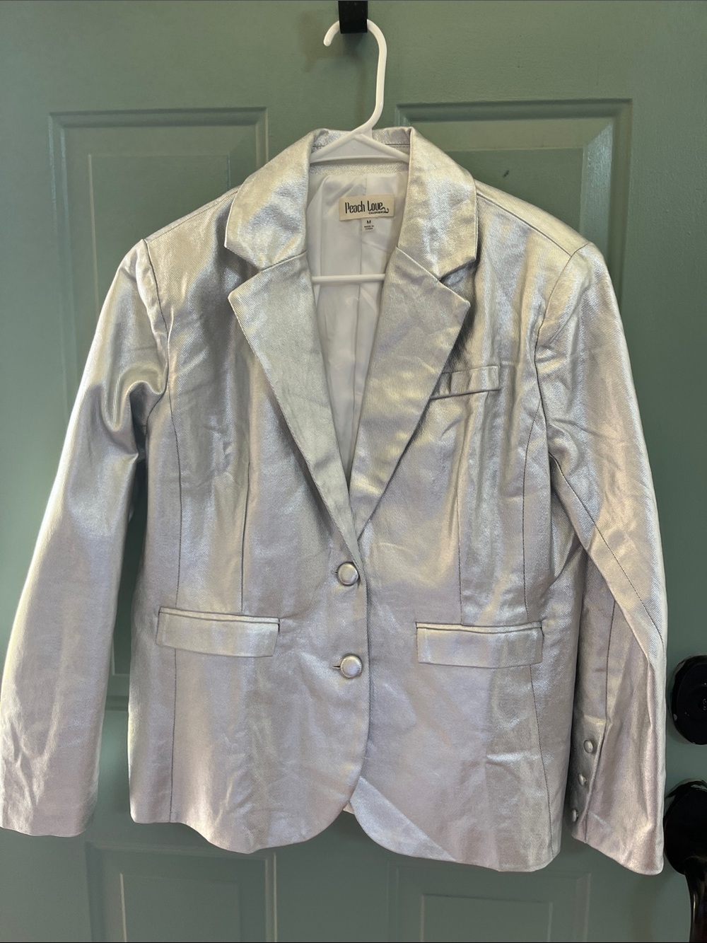 Peach Love California Shimmery Silver Blazer
